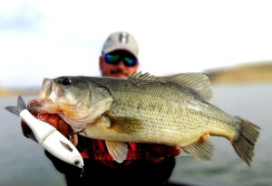 bass fishing extremadura